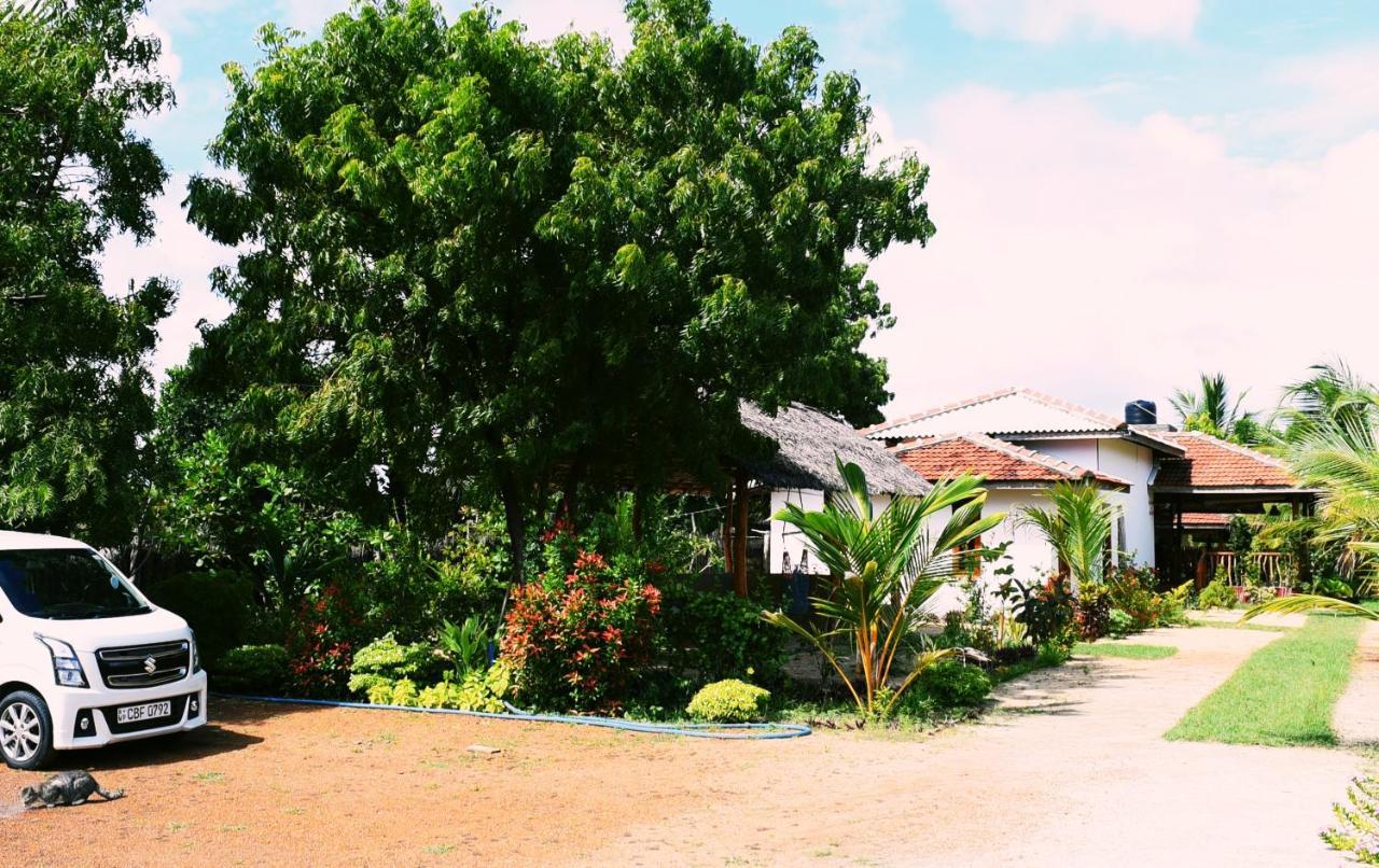 Prime Surfers Bungalow Arugam Bay Luaran gambar