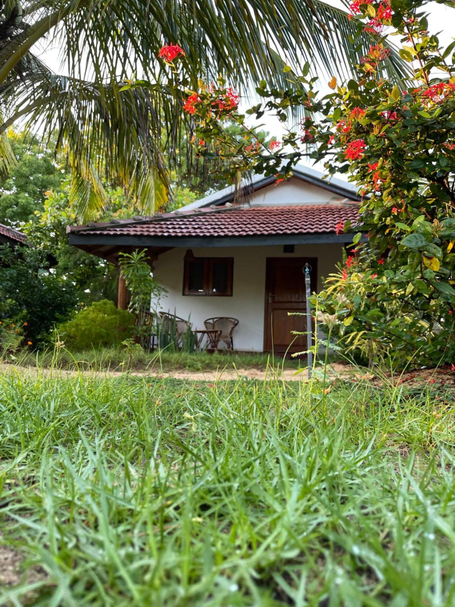 Prime Surfers Bungalow Arugam Bay Luaran gambar